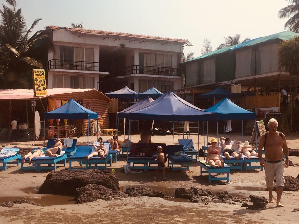 Boomerang Resort Mandrem Dış mekan fotoğraf